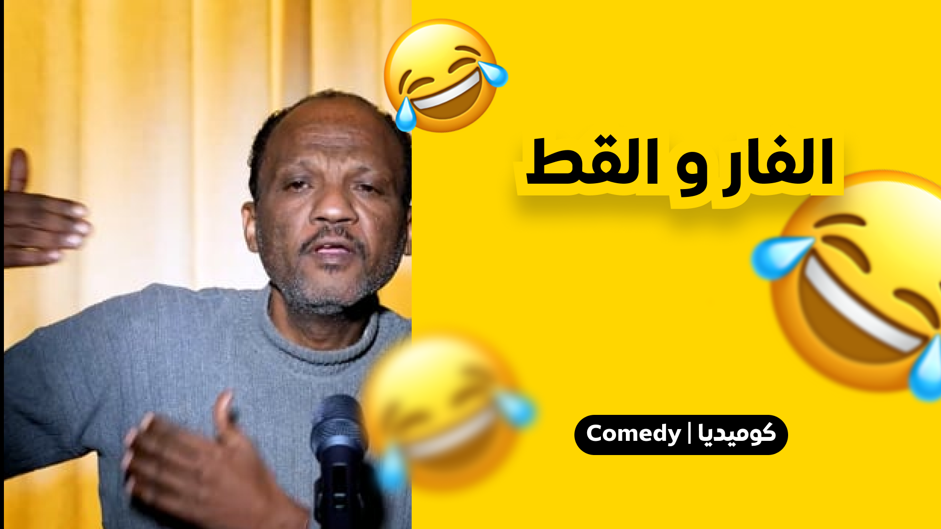 الفار والقط