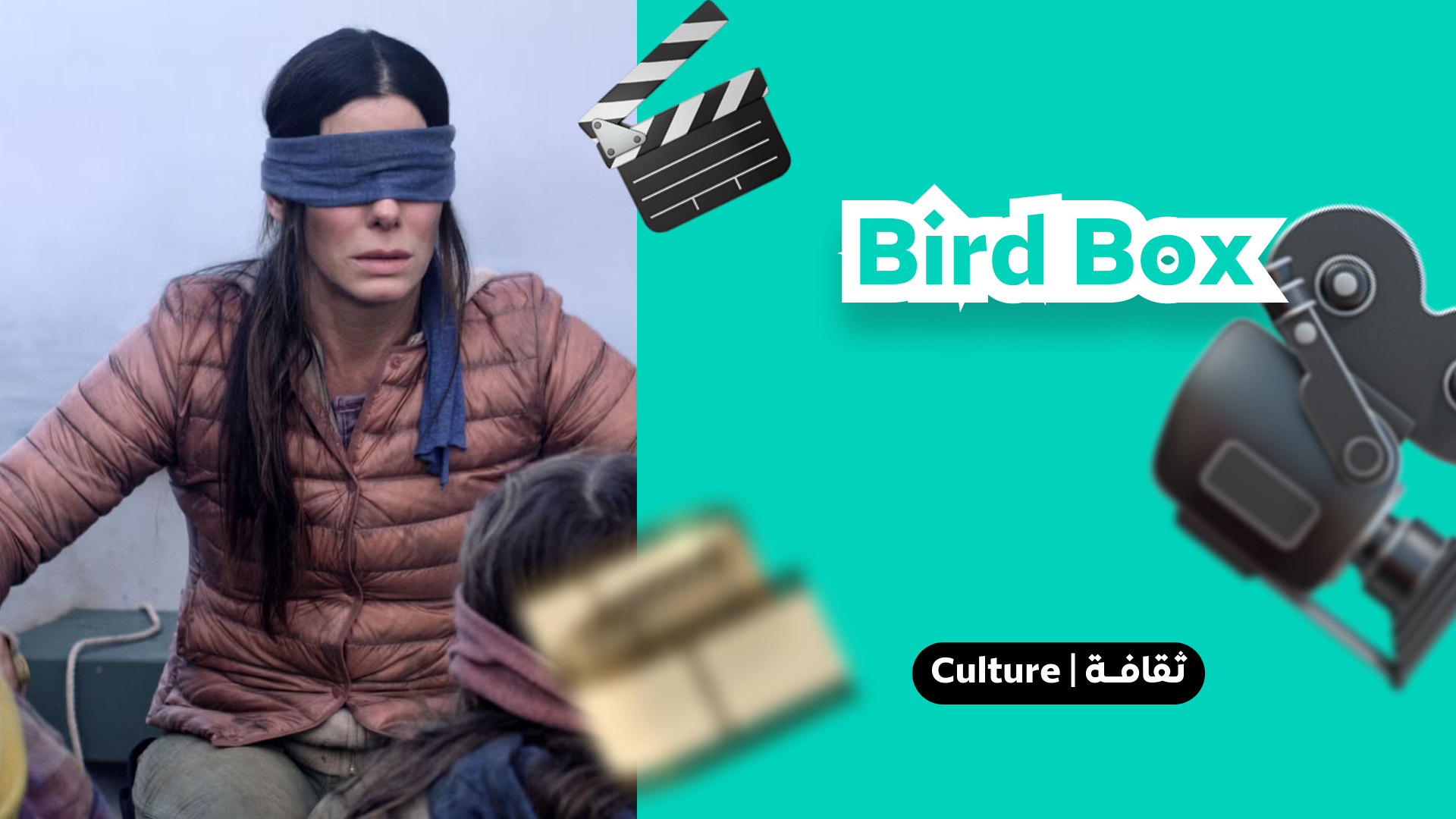 Bird box