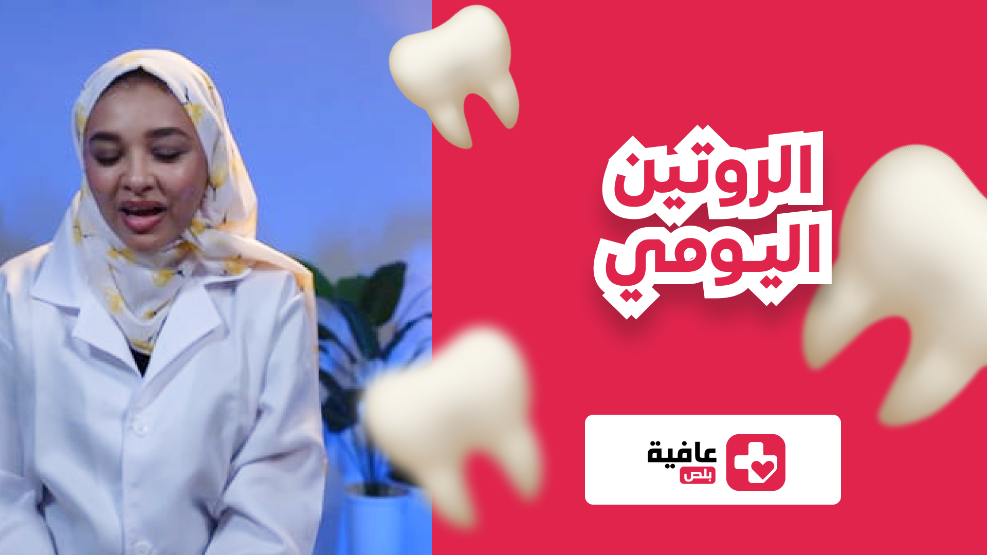 الروتين اليومي