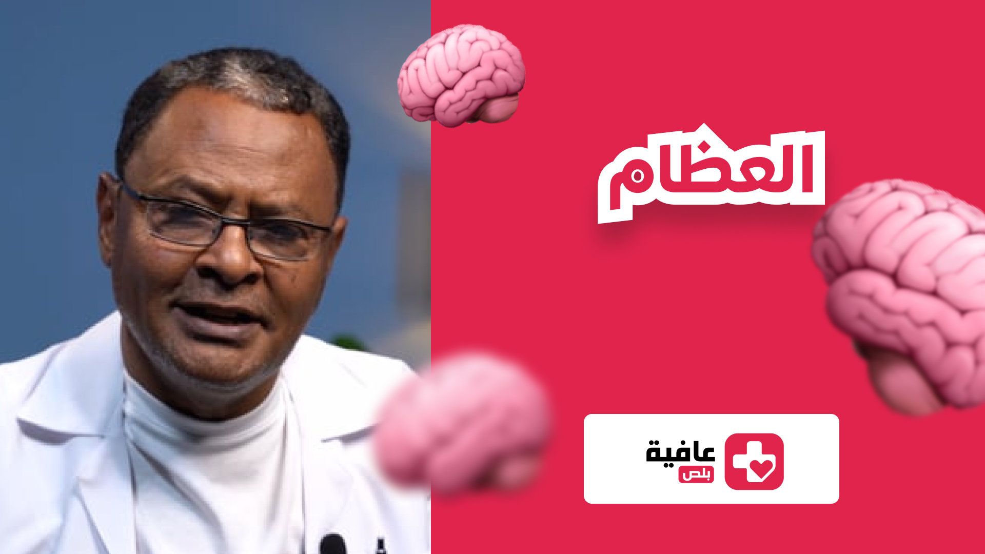 العظام