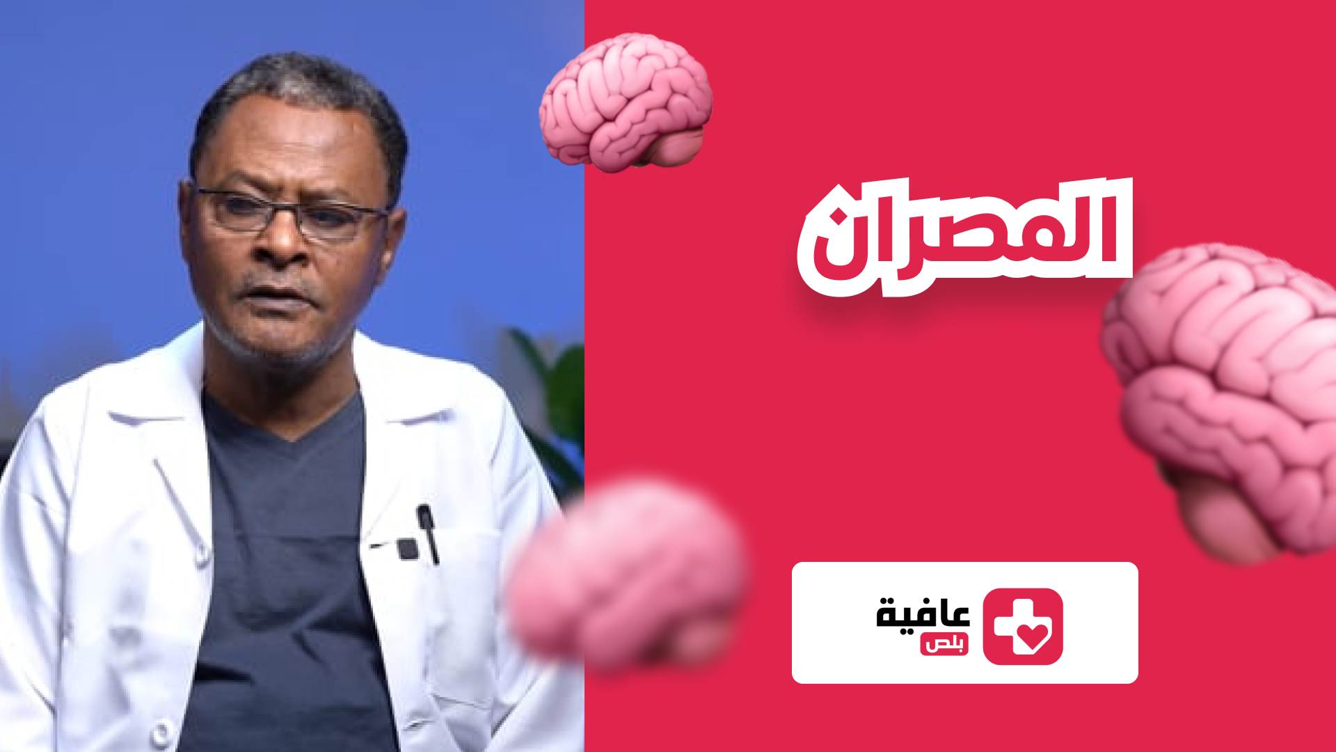 المصران